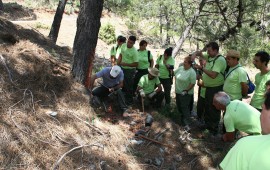 The Sierra de las Nieves trying to recover the old office of resinero