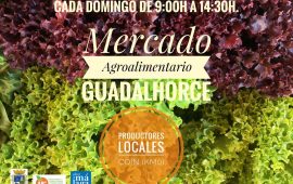Mercado de productos locales, Coin