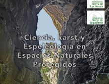 Jornadas Científicas de la SEDECK