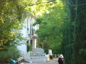 Hotel Apartamentos