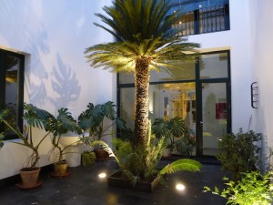 Hotel- Patio2