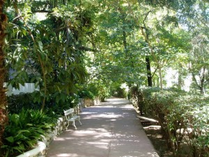 Jardines 5